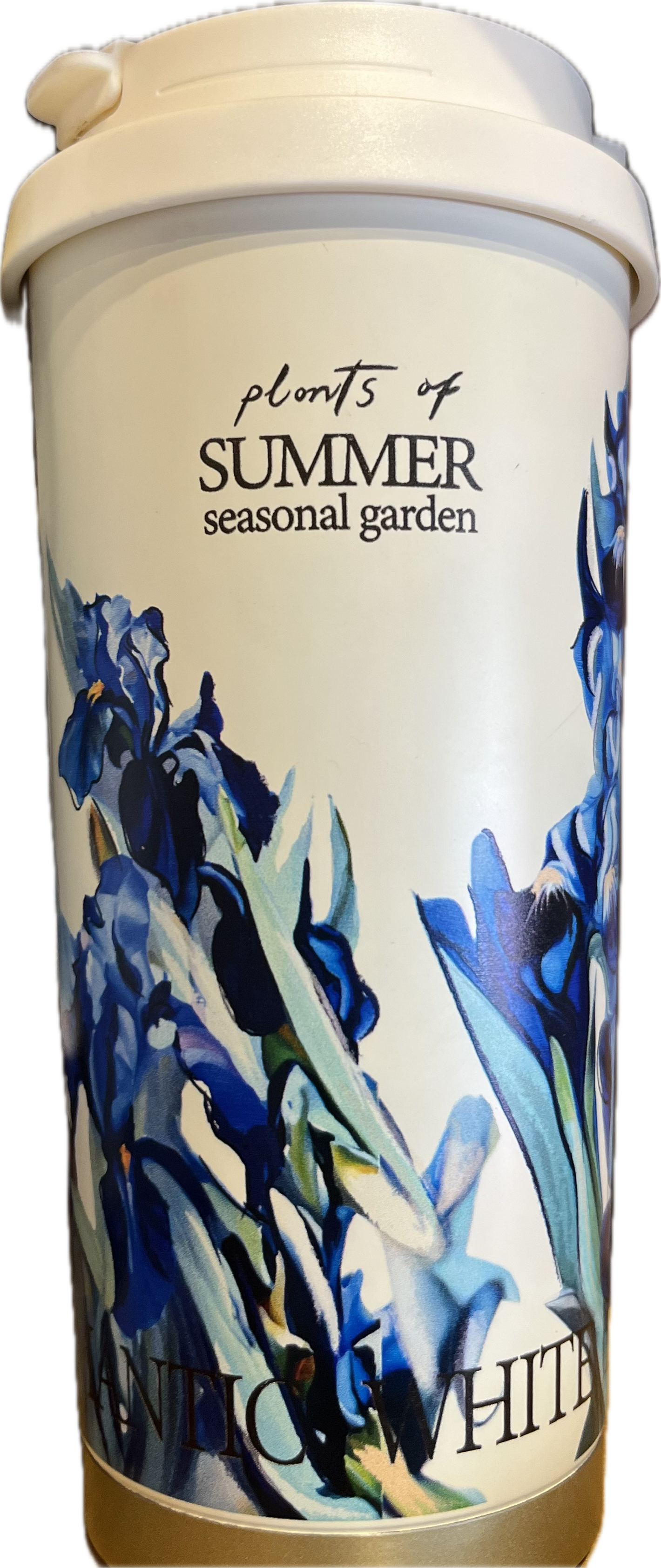 Termo Plants of SUMMER Azul Ocean